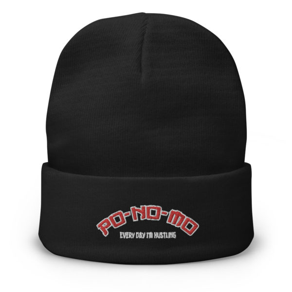 PoNoMo Embroidered Beanie