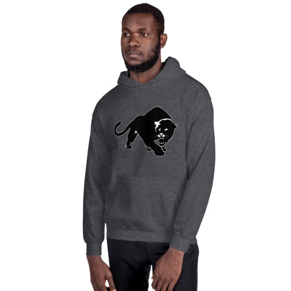 Purrfeccion Blk Pantha Men’s Hoodie