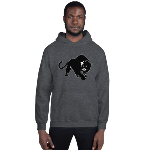 Purrfeccion Blk Pantha Men’s Hoodie