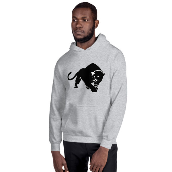 Purrfeccion Blk Pantha Men’s Hoodie